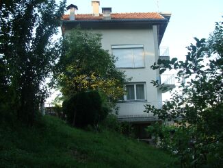 DSC01383_1
