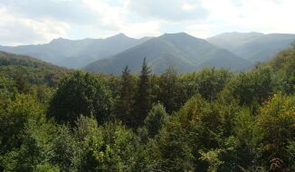 DSC01868_1