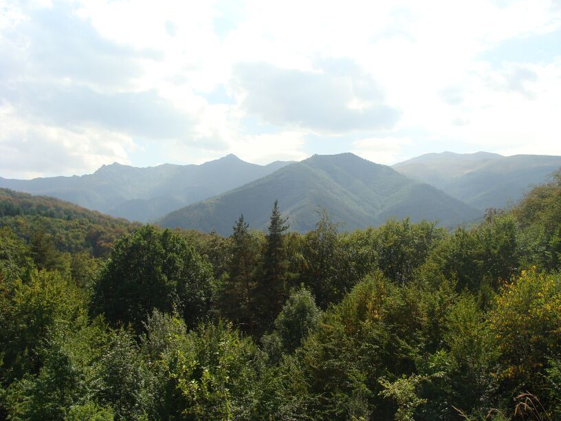 DSC01868_2